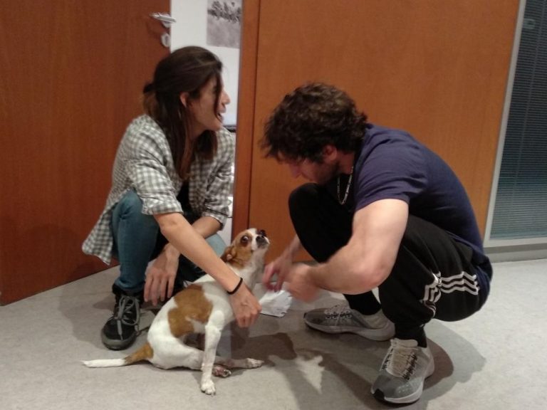 15_da_rod_el_vecino_ratoni_1005_ccac5d-768x576