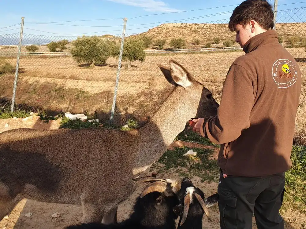 Adiestramiento de animales salvajes para cine
