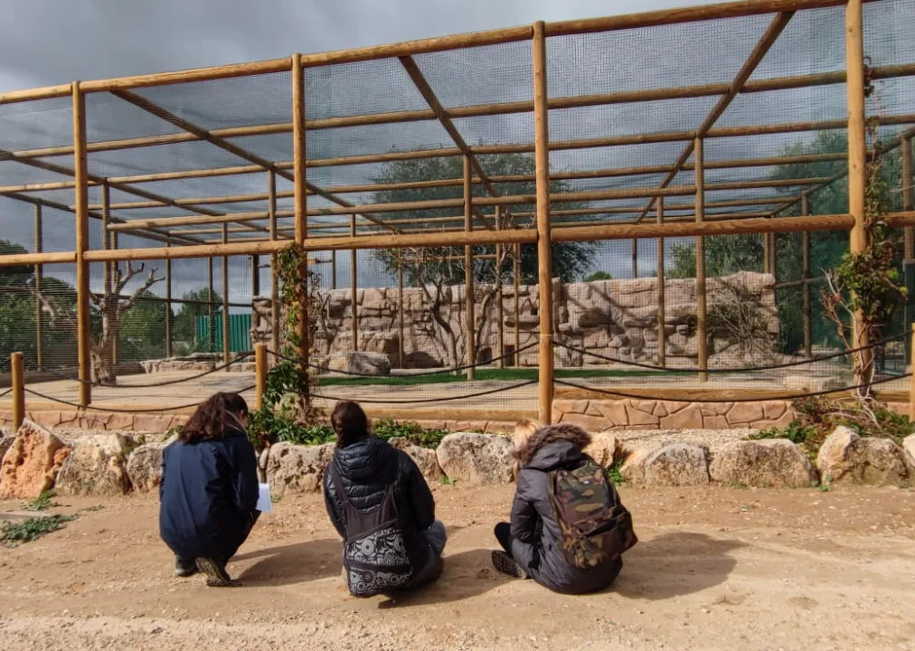 practica-1-observacion-IV-BNS13-14 (1)